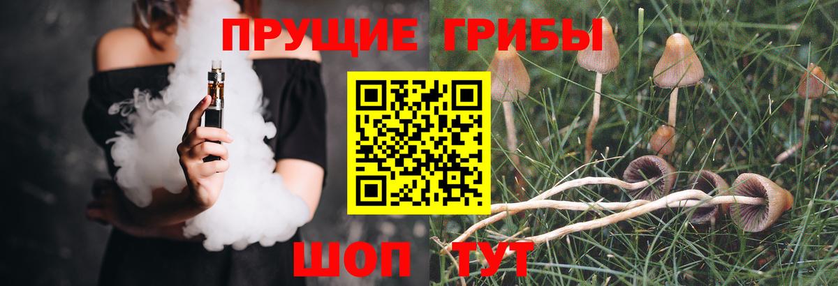 Псилоцибиновые грибы мухоморы Майский