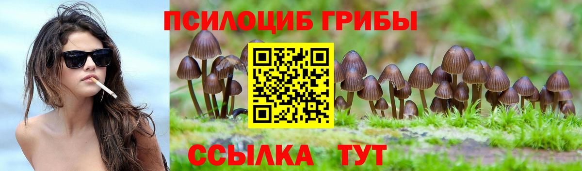 Галлюциногенные грибы мицелий  Вход с VPN  купить наркотик  Майский 